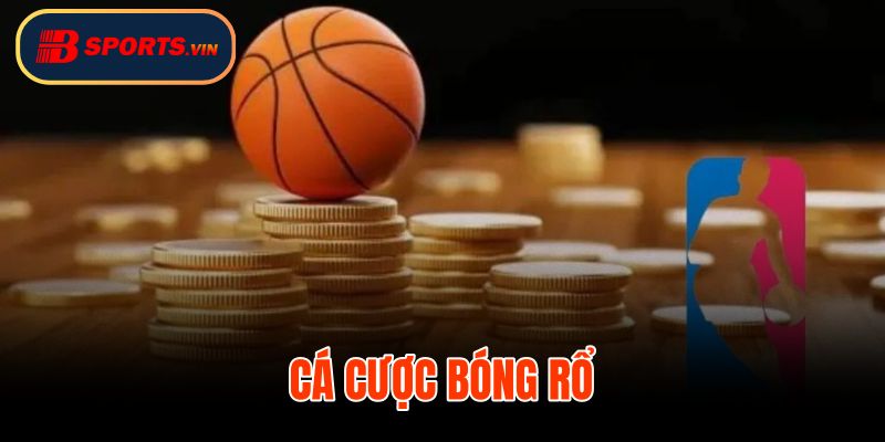 Cá Cược Bóng Rổ
