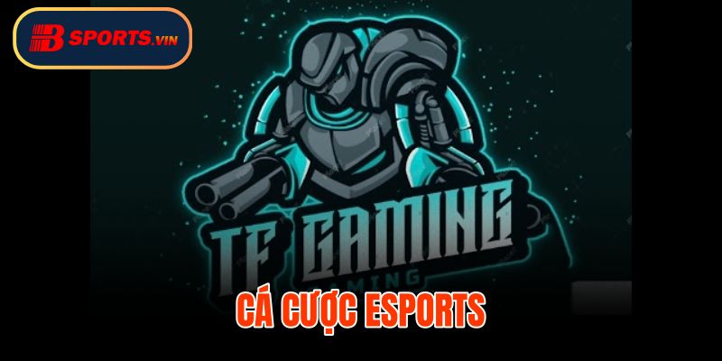 Cá Cược Esports